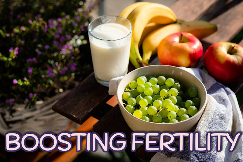 5 Natural Ways to Boost Fertility