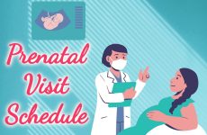 Prenatal Visit Schedule
