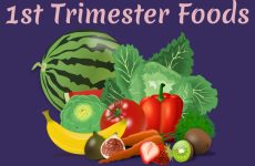 First Trimester Foods