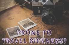 Prone to Travel Sickness