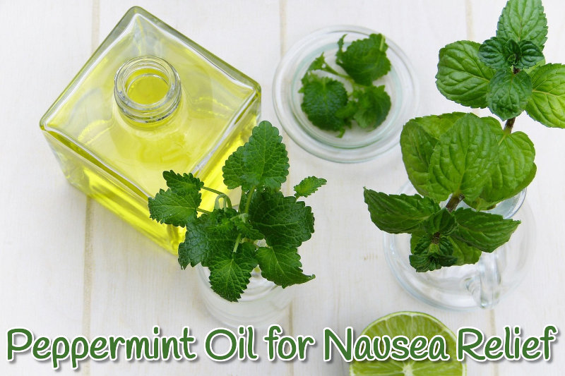 Peppermint Oil for Nausea Relief