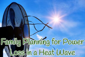 Managing a Heat Wave Power Loss