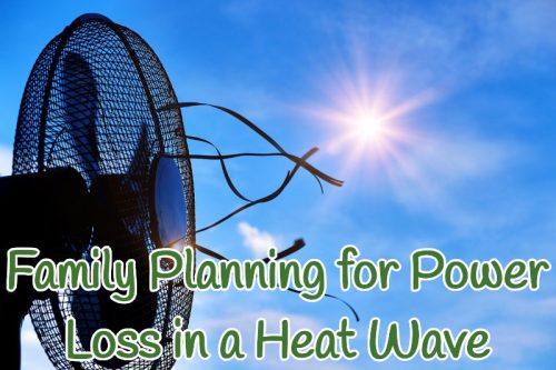 Managing a Heat Wave Power Loss