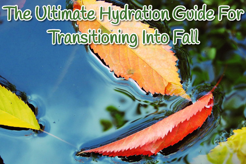 Hydration Tips for Autumn