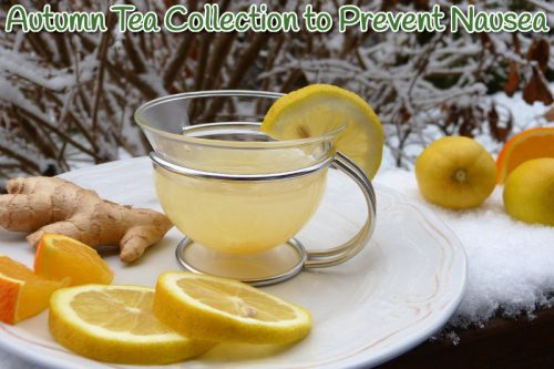 Autumn Tea Collection for Nausea